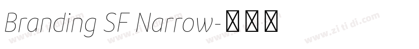 Branding SF Narrow字体转换